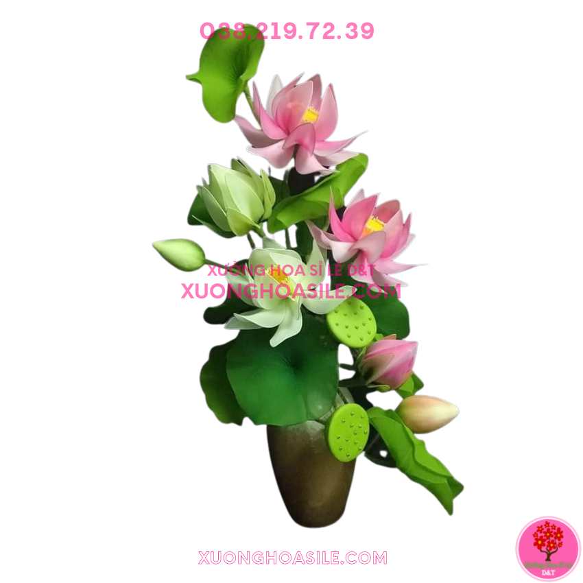 [HCM]GƯƠNG SEN ĐÀI SEN