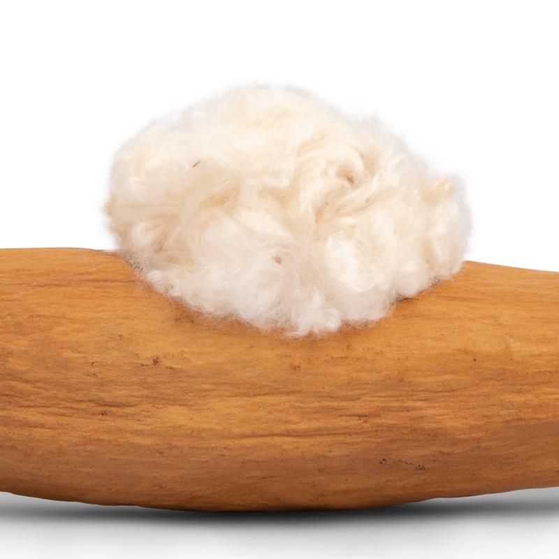 Nệm Gòn Cho Hamster