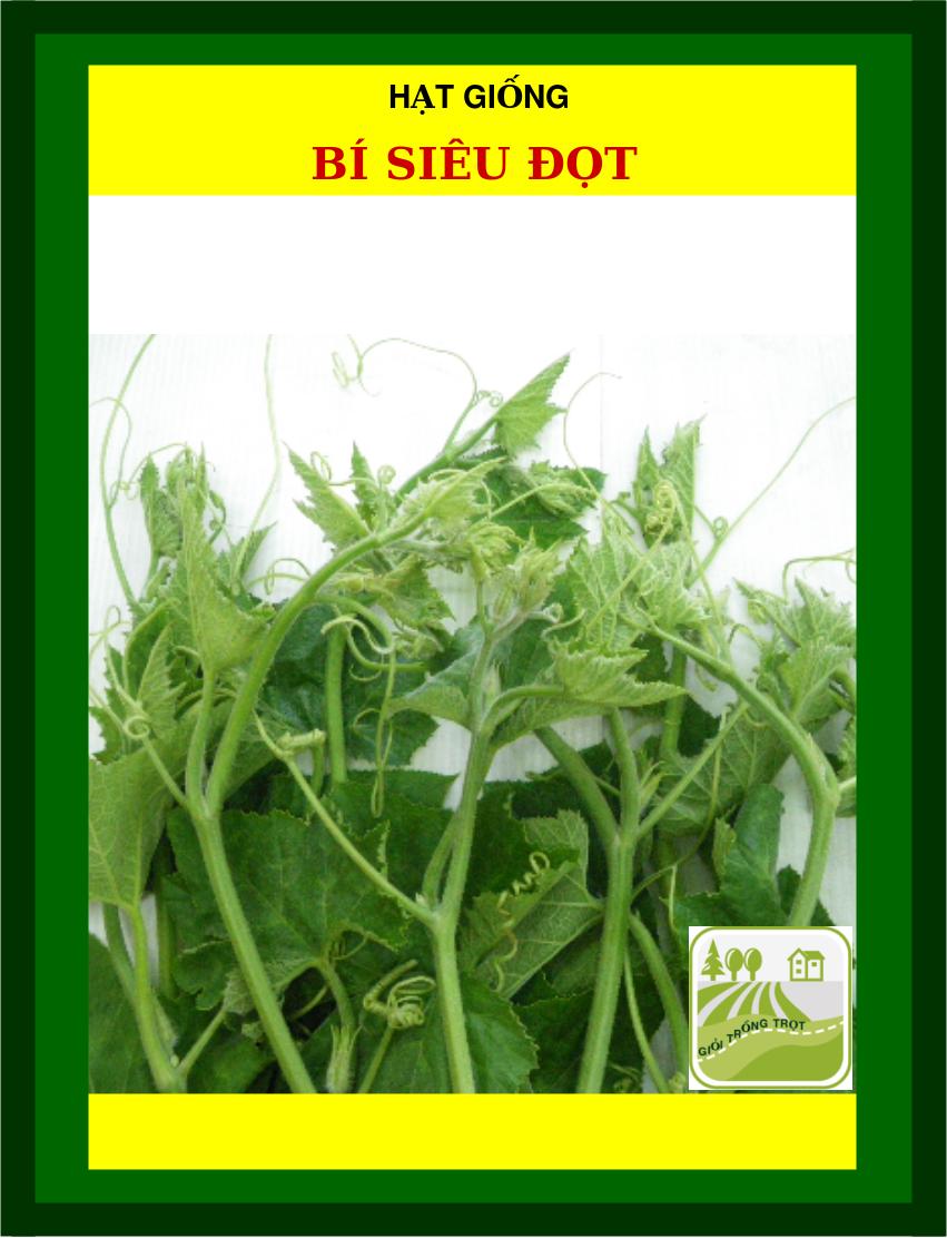 5Gram Hạt Giống Bí Siêu Đọt