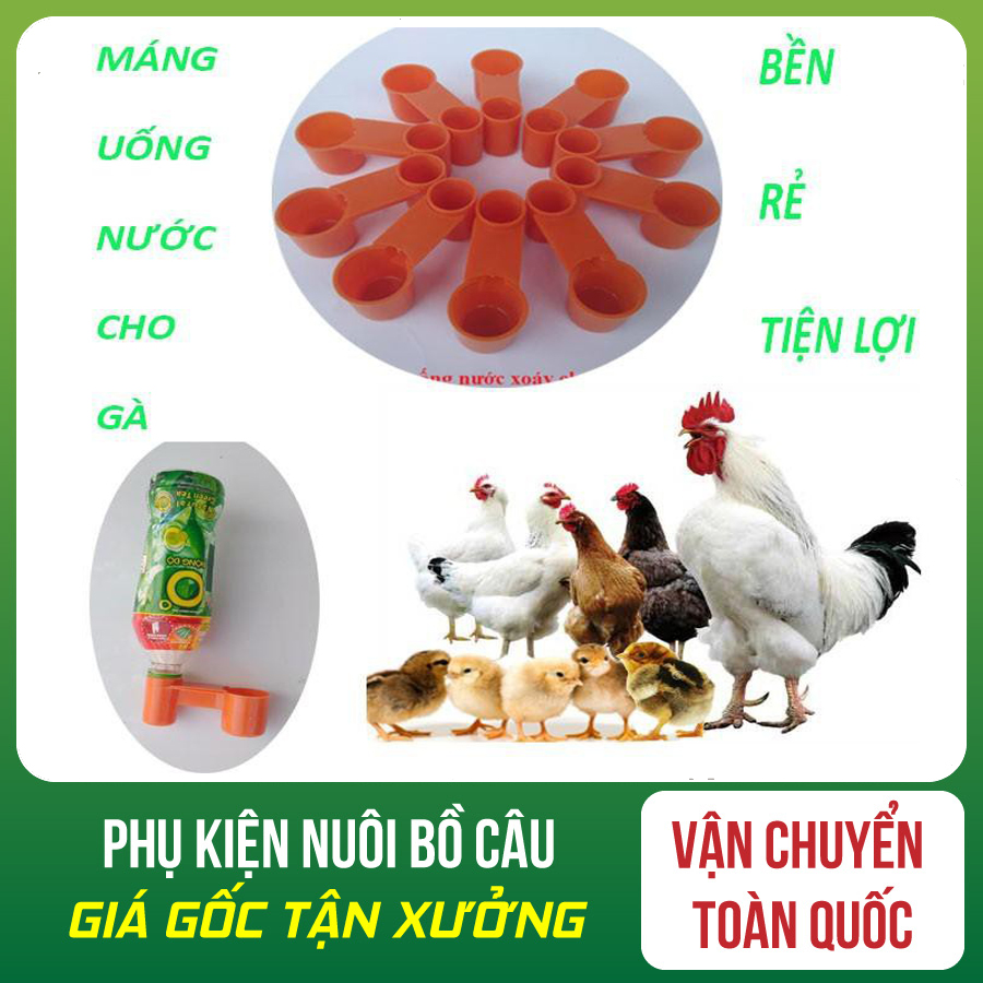 [HOÀN TIỀN 10%]COMBO 6 máng uống nút chai cho gà uống - Phụ kiện ăn uống cho gà - Máng uống cho gà - Bồ câu tín nghĩa