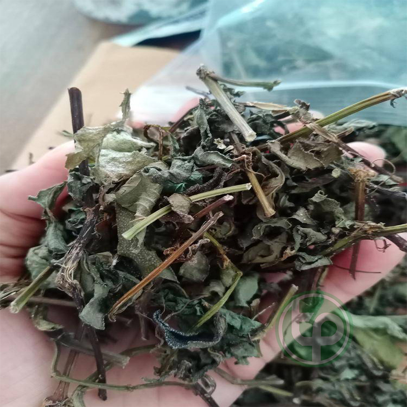 [New Arrivals] Dried Saige Plant 500g - Ton of Benefits - Helps Clear Heat and Detoxify