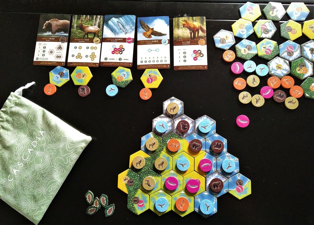 [US] Cascadia - Trò Chơi Board Game