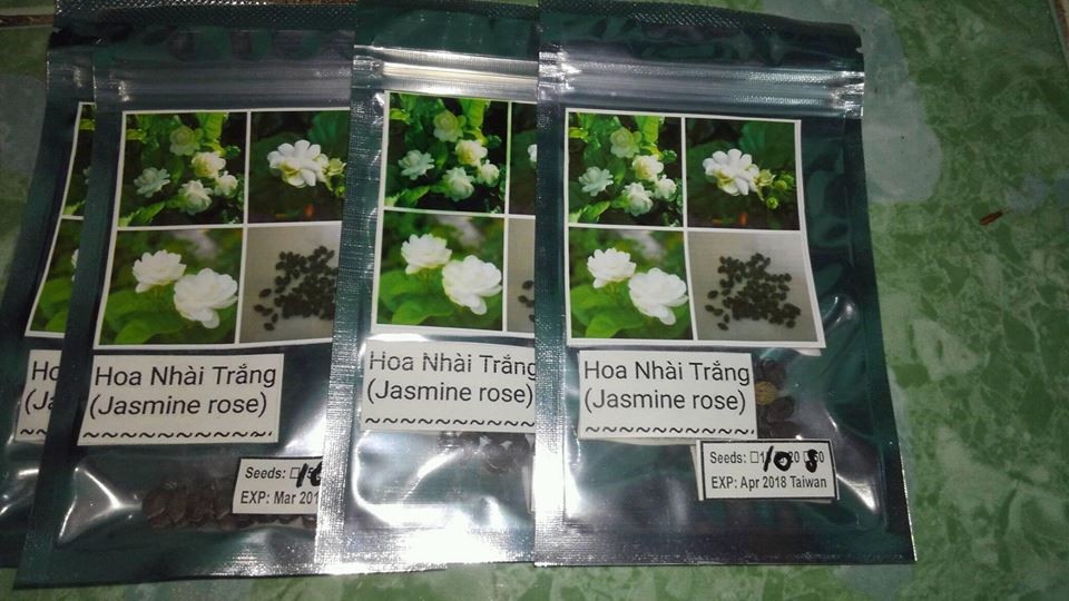"Gói 10 Hạt " Hạt giống hoa nhài trắng ( hoa lài )