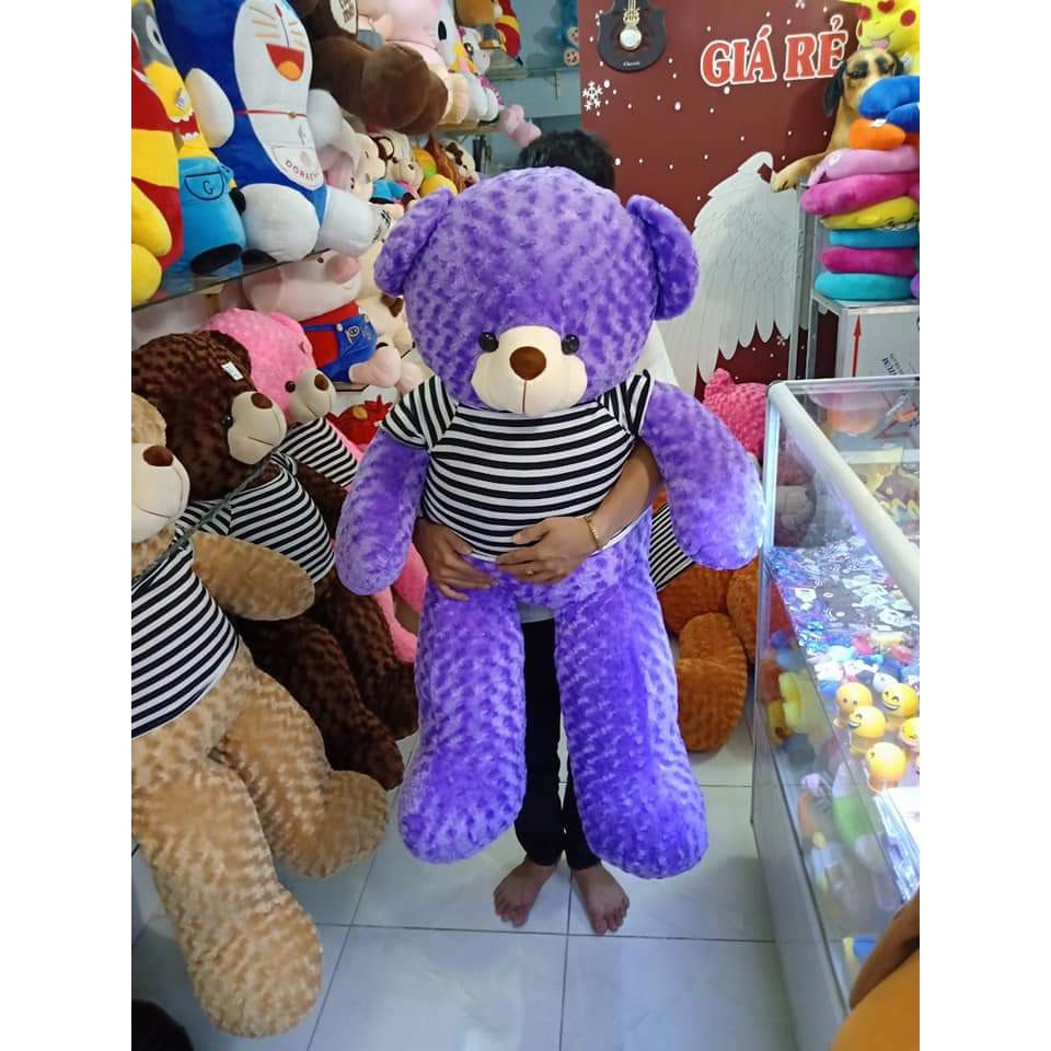 Gấu bông teddy khổ vải 1m4 cao 1m2