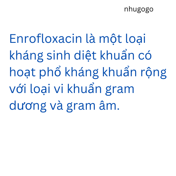 Nova Enrocin 10% 100ml thương hàn, tiêu chảy