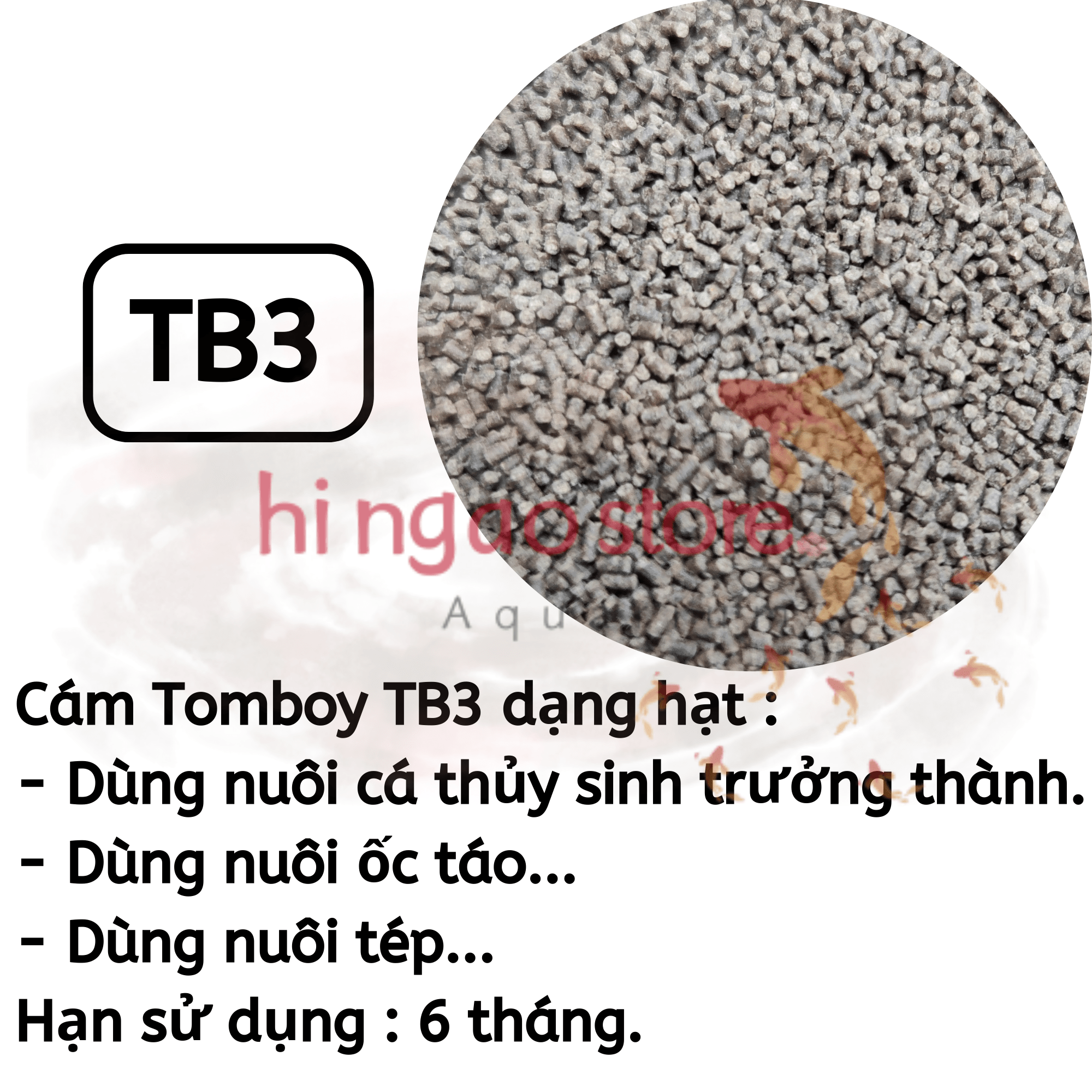Bộ 4 Hủ 10G Cám tomboy TB 0, TB 1, TB 2, TB 3, TB TT - Thức ăn hỗn hợp biến cá bột, tép bột,ốc bột thành cá bự, tép bự, ốc bự | Hingaostore.