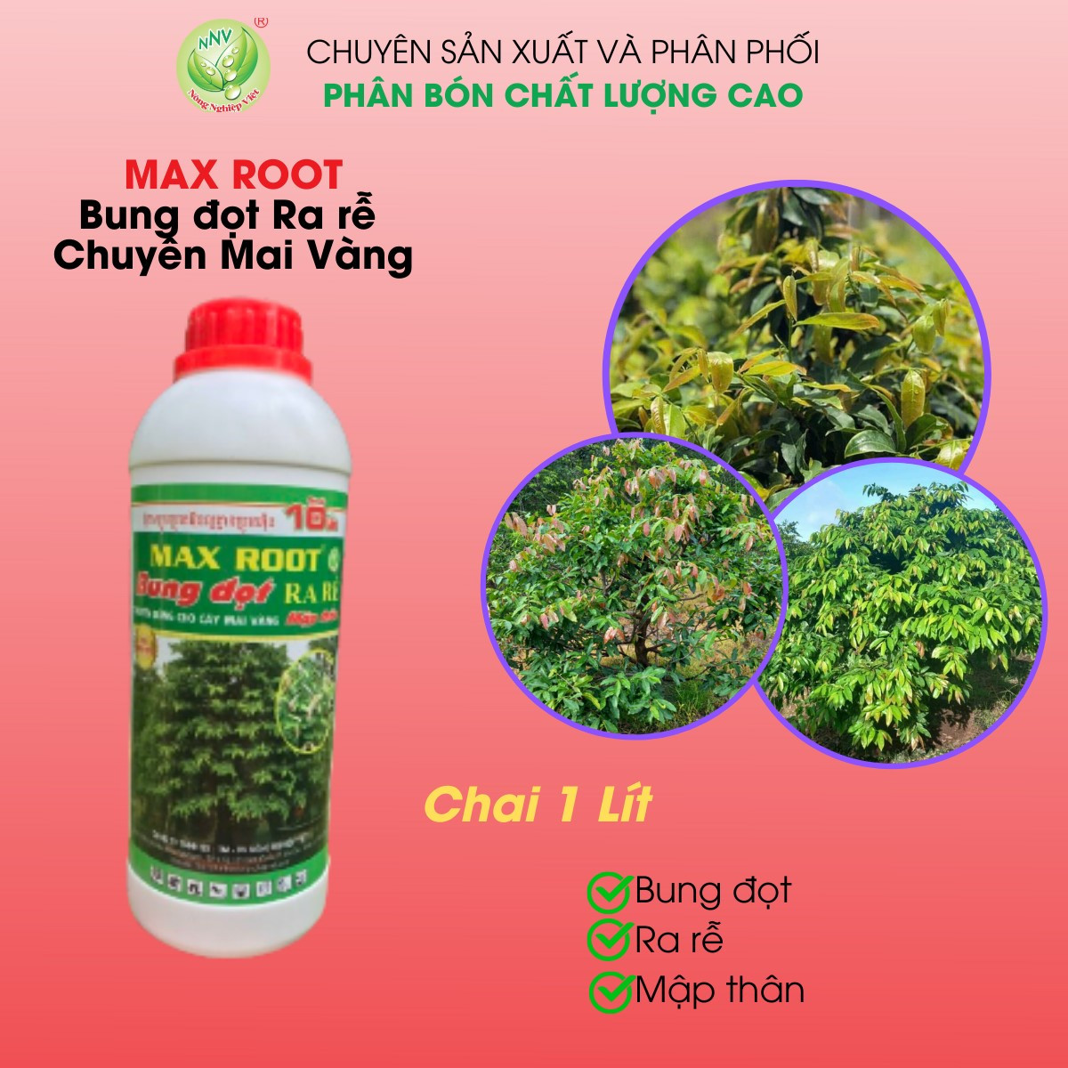 MAX ROOT BUNG ĐỌT RA RỄ MAI VÀNG CHAI 1 LÍT