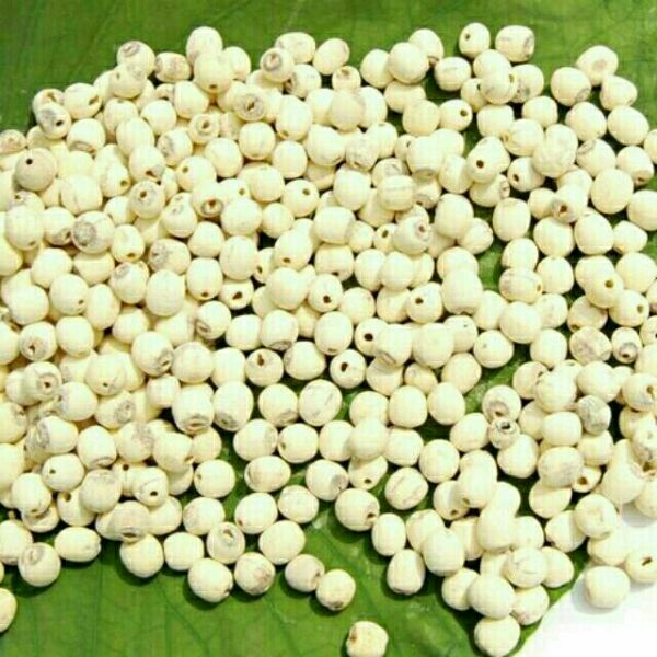 500g hạt sen khô