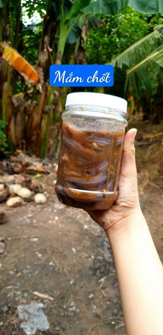 mắm cá chốt, loại 1 đặt biệt thơm ngon, Khô Thoại Sơn