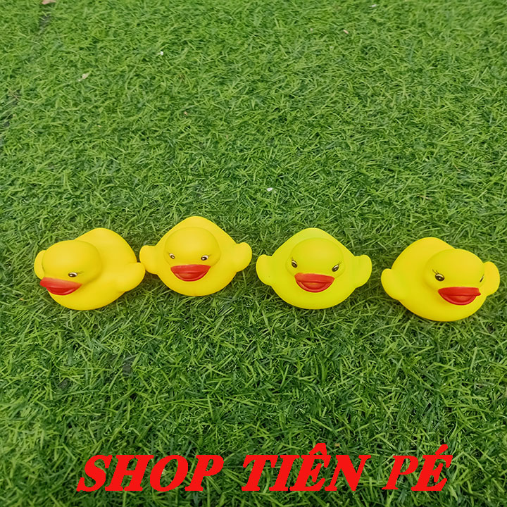 COMBO 4 CON VỊT GẮN PÔ E
