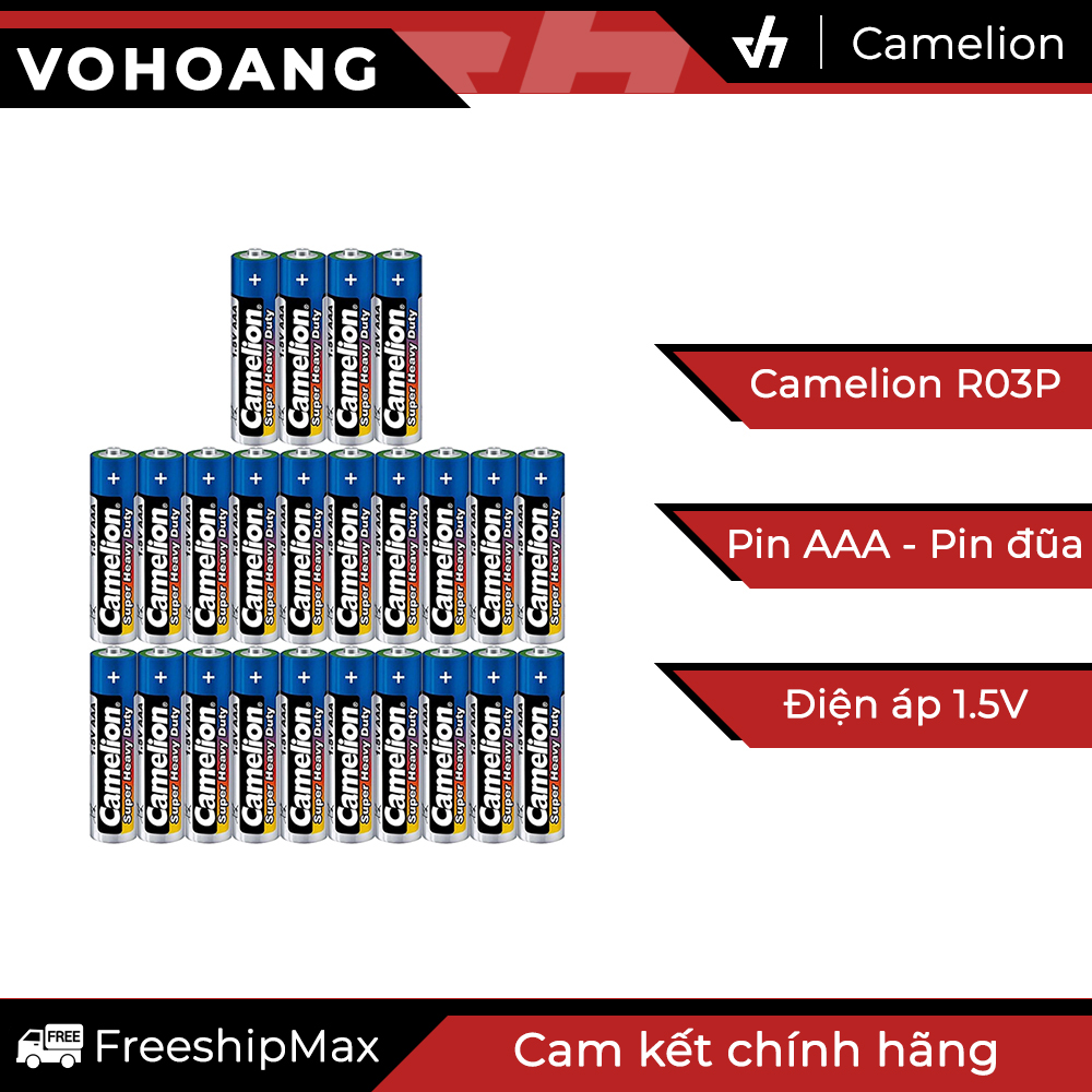 24 pin AAA Camelion R03P