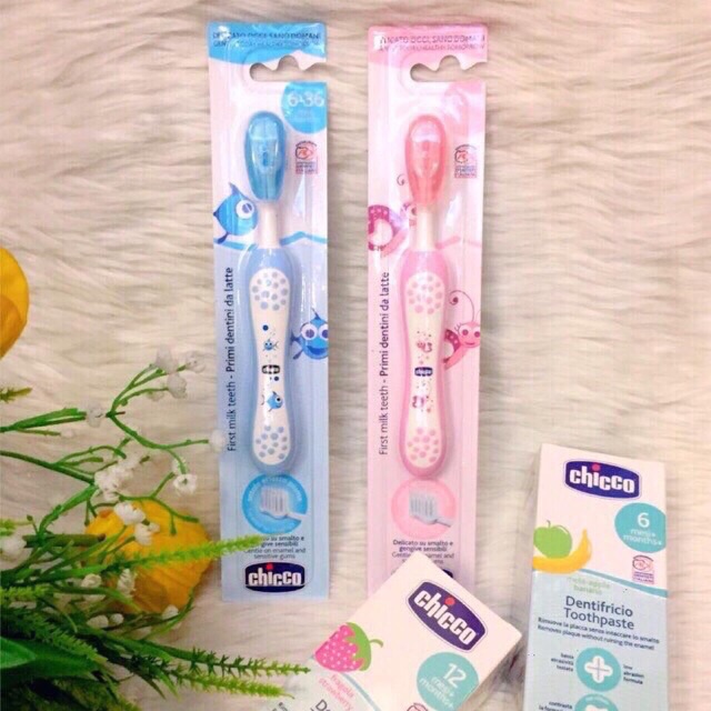 Bàn Chải Đánh Răng Chicco