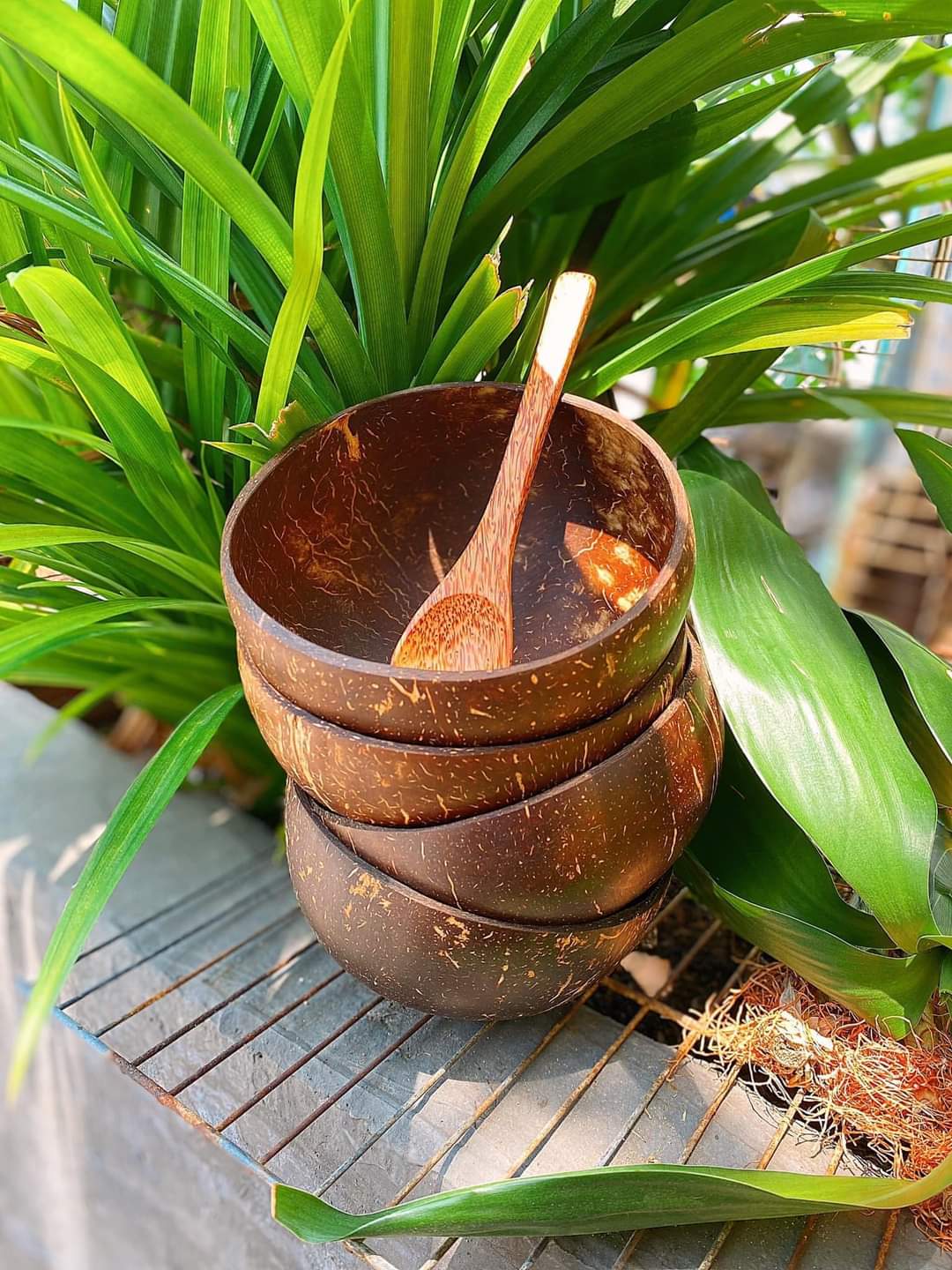 Bộ chén gáo dừa kèm muỗng gỗ