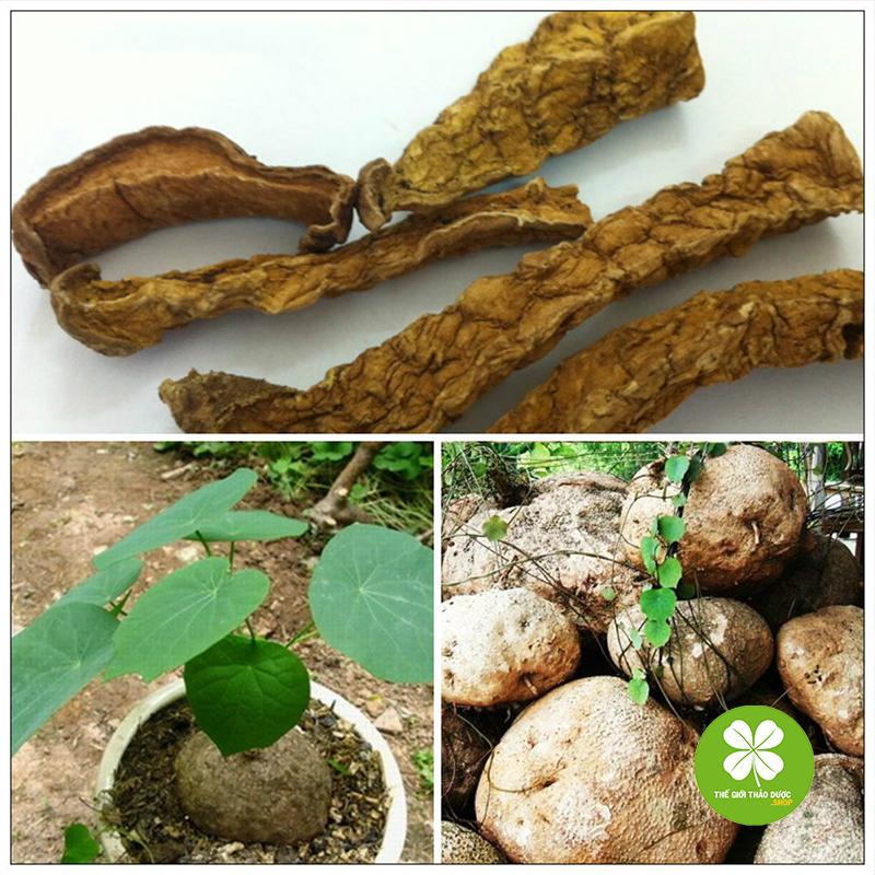 Củ bình vôi (gói 1kg) - TD163