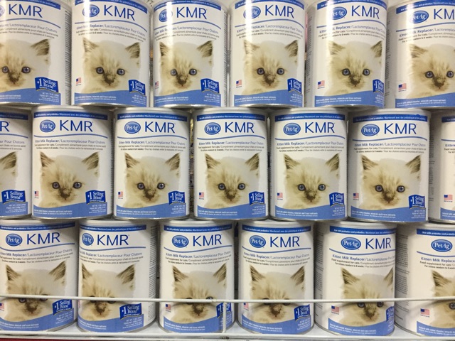 Sữa KMR cho mèo 340g