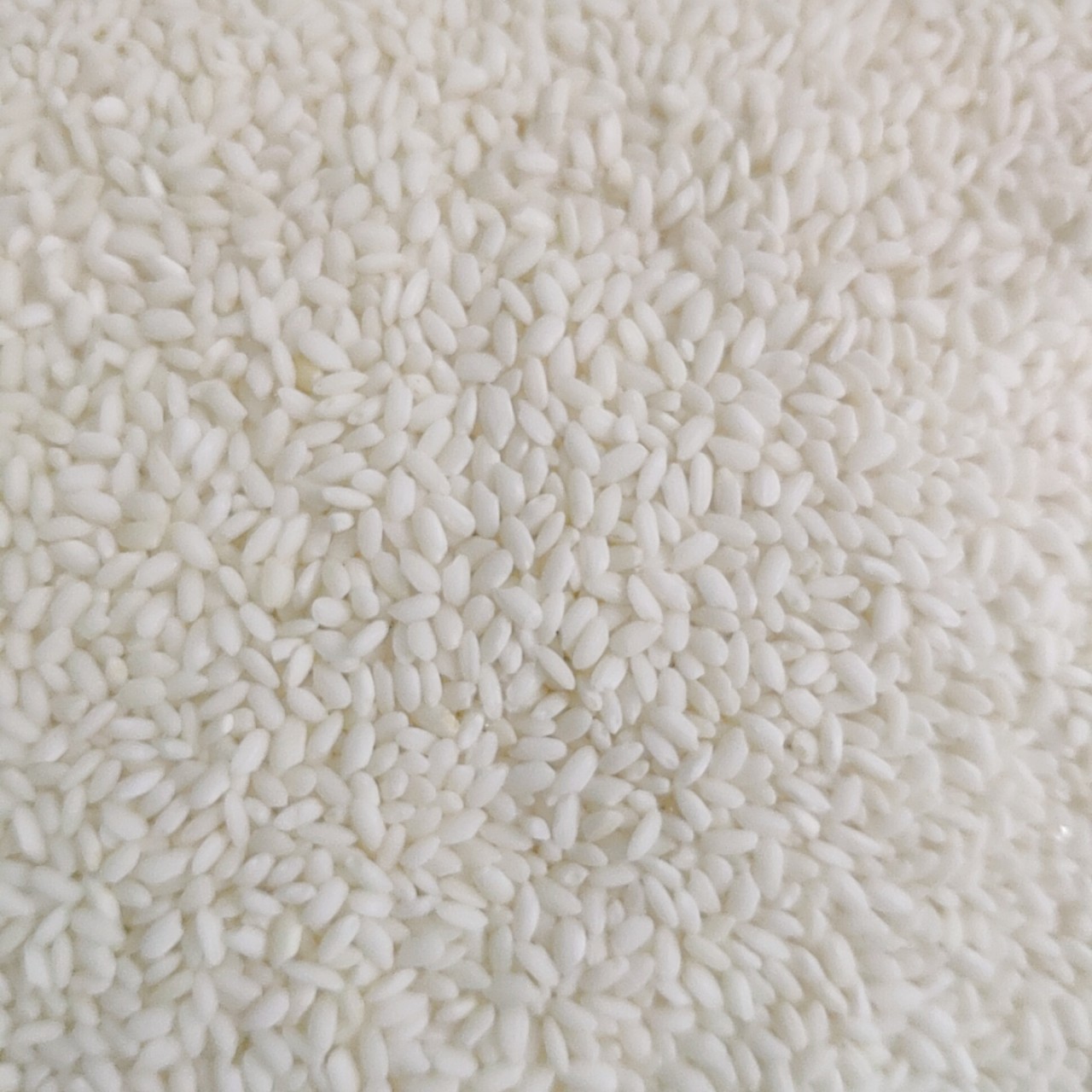 Gạo nếp cái Hoa Vàng 2kg