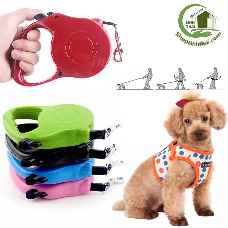 [HCM]Dây dắt chó mèo dây xích tự động co rút dài 5 mét - màu ngẫu nhiên