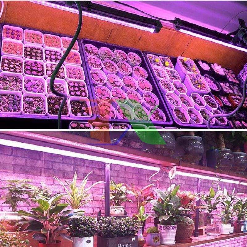 Led grow lights T8 1.2m