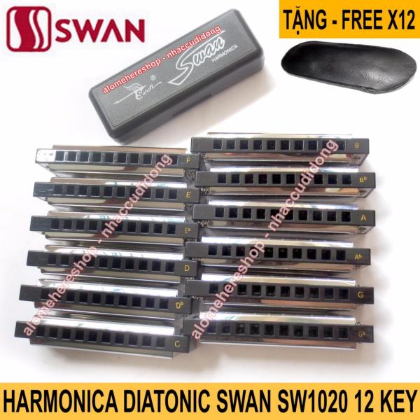 Bộ 12 kèn harmonica Swan SW1020 Key C/Db/D/Eb/E/F/GB/G/Ab/A/Bb/B