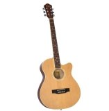 Đàn guitar acoustic Vines