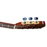 ĐÀN GUITAR CLASSIC DC600