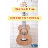 Đàn Ukulele Concert Đôrêmon - Việt Hoàng Phong