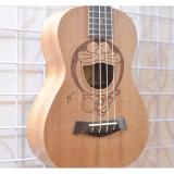 Đàn Ukulele Concert Đôrêmon - Việt Hoàng Phong