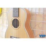 [HCM]Đàn Ukulele Concert gỗ Thông có Pick-up - Máy lên dây tặng kèm dây 6 ly ra loa + sách học + phím gảy