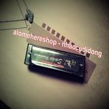 Kèn harmonica diatonic Swan SW1020 key C (Bạc)