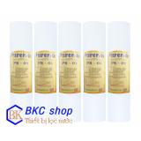 Bộ 05 lõi lọc nước số 1 pp 1 micron 10 inch