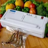 Máy hút chân không mini DZ-300A