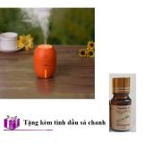 Lemon Humidifer