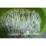 Máy làm giá đỗ ĐT-103 Phiên bản tự động
