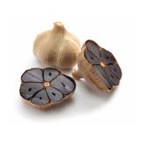 Nồi làm tỏi đen Panworld PW-2017
