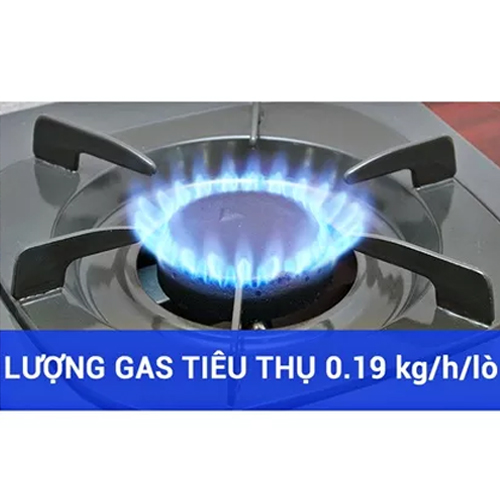 [HCM]Bếp gas đôi Rinnai RV-370(GM)N (Đen)