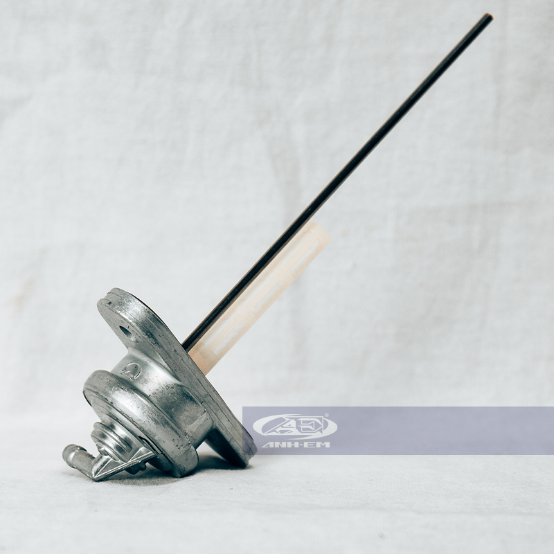 Bơm xăng RGV (M) RGV120-0074