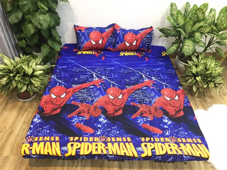 Bộ ga gối 3 món cotton sunzin