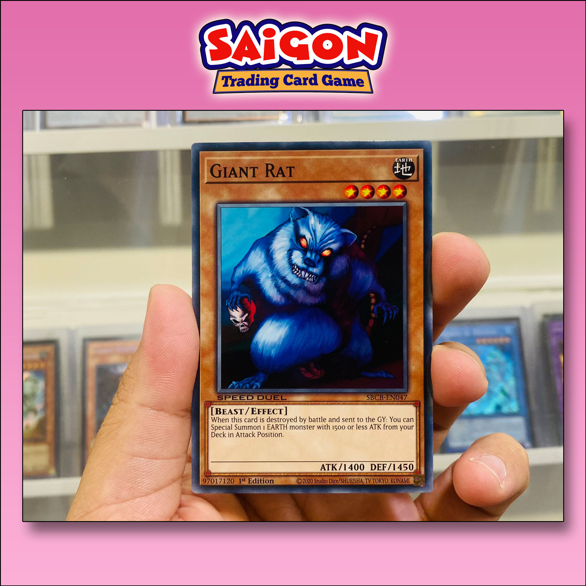Th bi YugiOh M SBCB-EN047 - Giant Rat - Common - 1st Edition | Lazada.vn Th bi YugiOh M SBCB-EN047 - Giant Rat - Common - 1st Edition | Lazada.vn