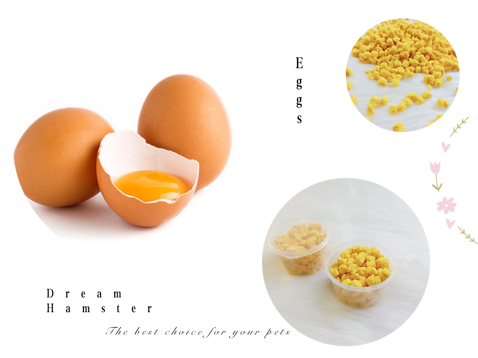 Lòng đỏ trứng gà sấy cho hamster, thỏ, bọ,. (20gr)