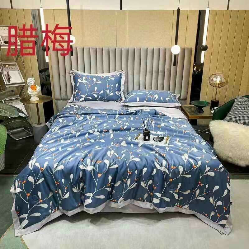 [HCM]Chăn lụa [CAO CẤP] chăn hè lụa thái chăn cotton lụa kích thước 2mx2m2 - Chăn nằm điều hòa chăn lụa thái siêu mềm mịn mát