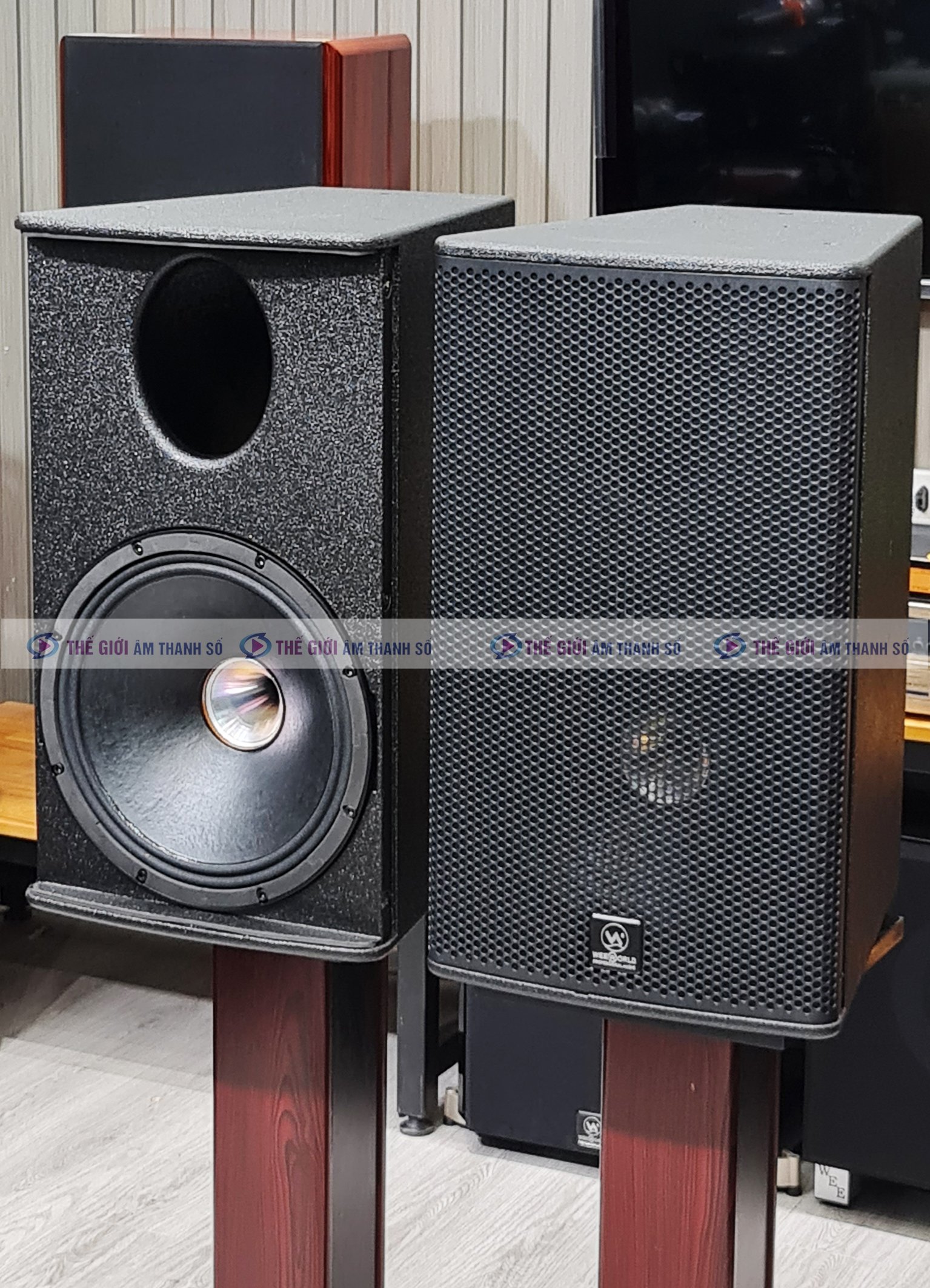 Loa Toàn Dải Weeworld D12