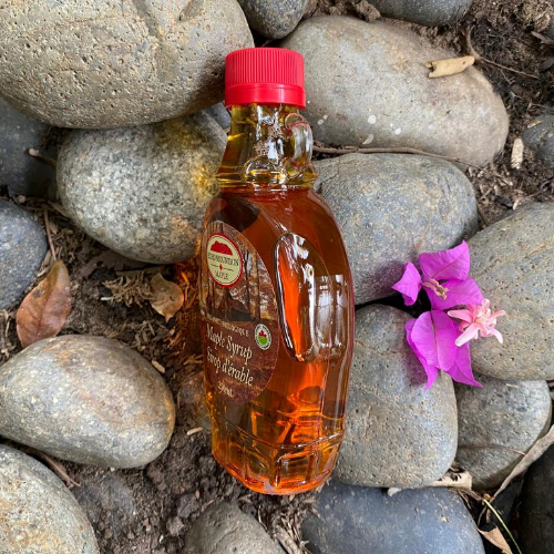 SI RÔ HỮU CƠ LÁ PHONG - ORGANIC MAPLE SYRUP 250ml - echo mountain maple