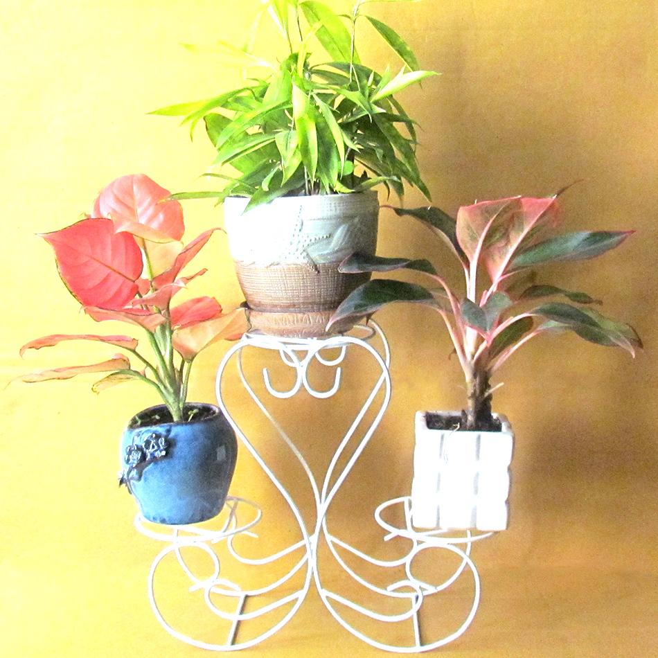 Gía đỡ chậu cây mini