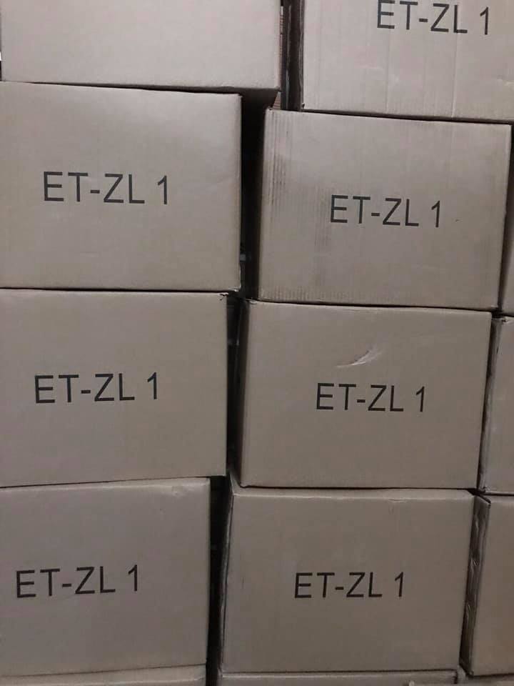 Bếp chiên nhúng điện ETon ET-ZL1