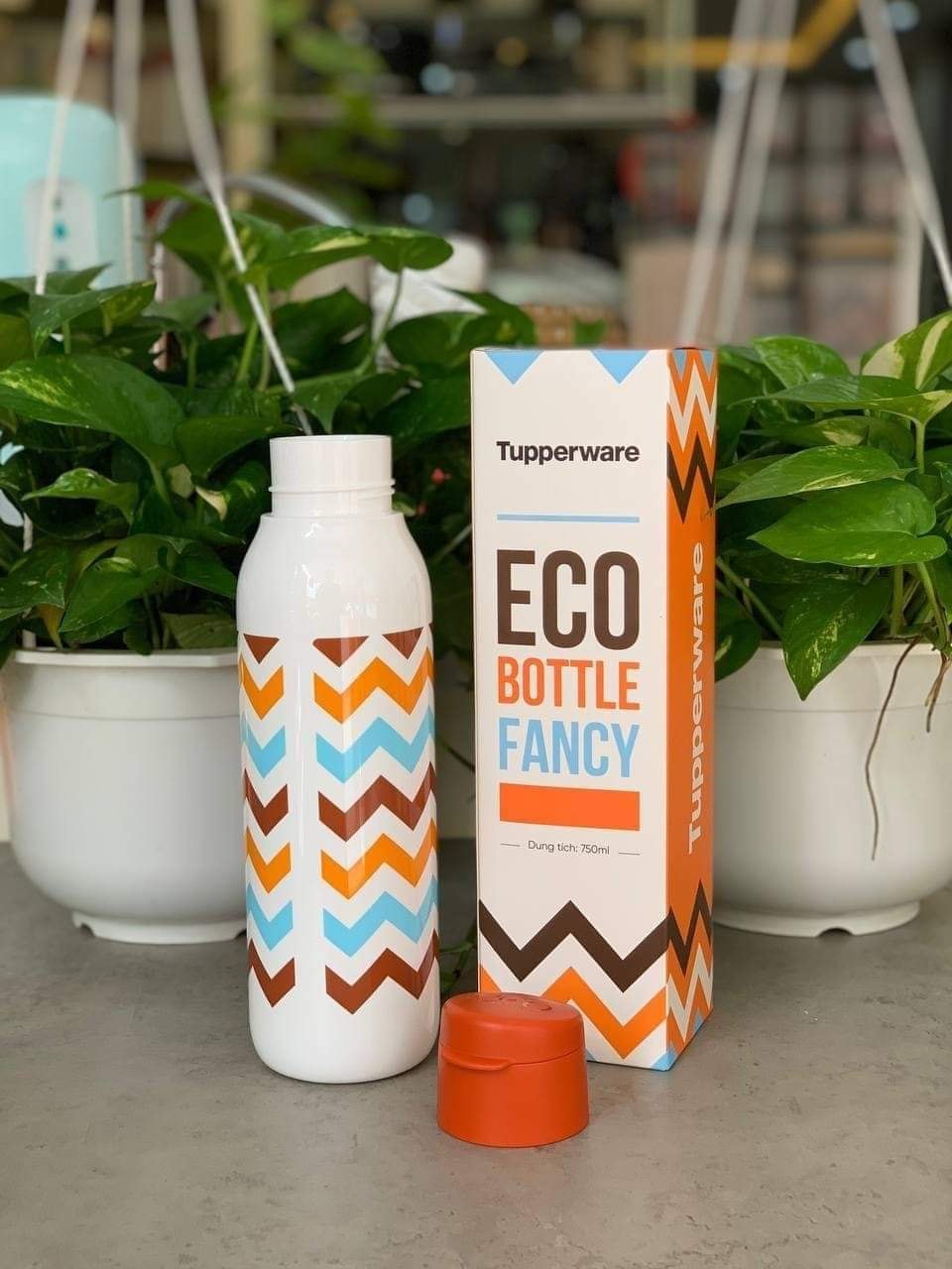 Bình Nước Eco Fancy 750m