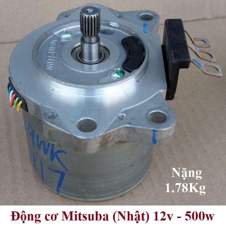 Động cơ phát điện 36v-300w, 60v-600w