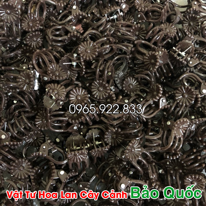 Kẹp Bướm Lan cỡ Trung (5 chiếc) cố định cây lan