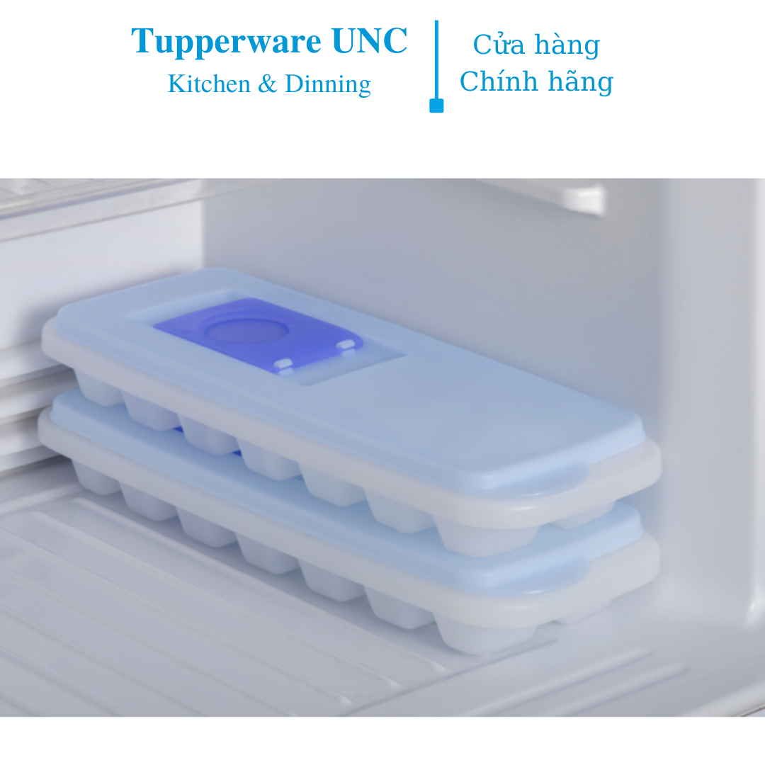 Khay đá Tupperware Fresh n Pure (2)