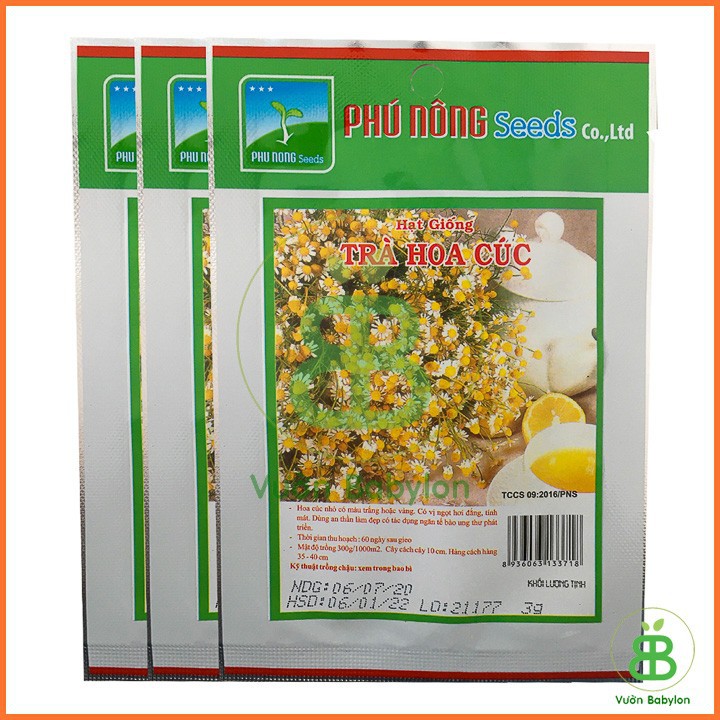 Hạt Giống Trà Hoa Cúc Dễ Trồng, Dễ Chăm Sóc 3GR