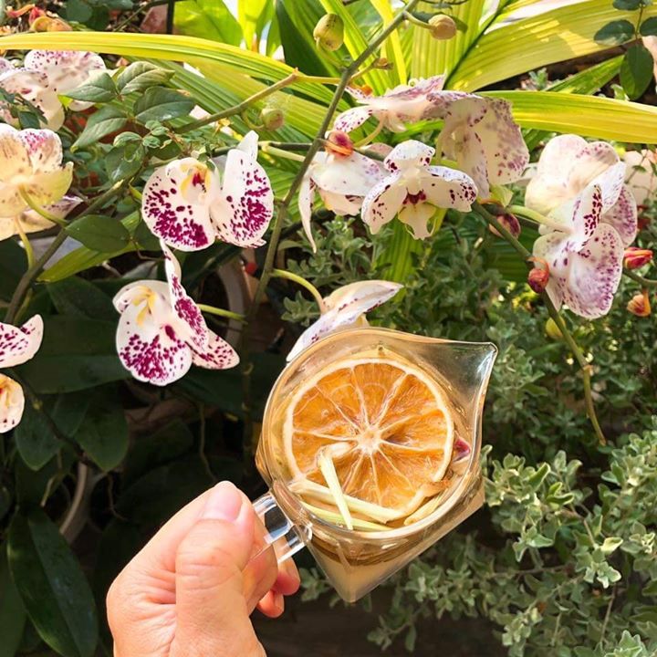 Tea Lemon citronella leaves pineapple package medium 60gr drinks increase resistance for translation-weight loss detox